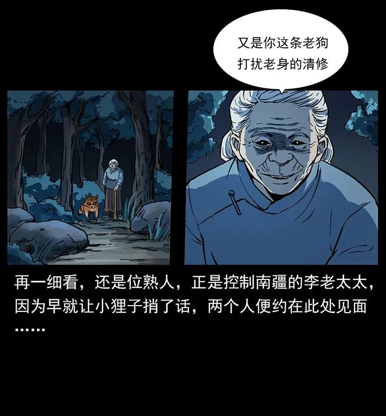 262 藏地神族 第52页