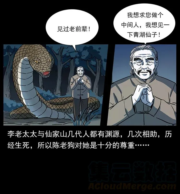 262 藏地神族 第53页