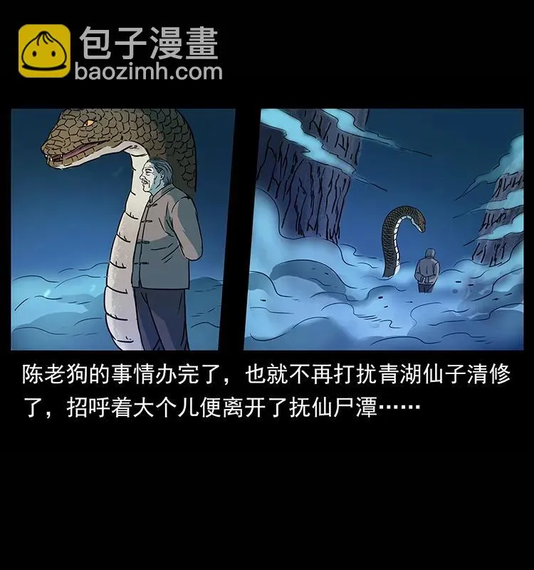 264 抚仙之战 第47页