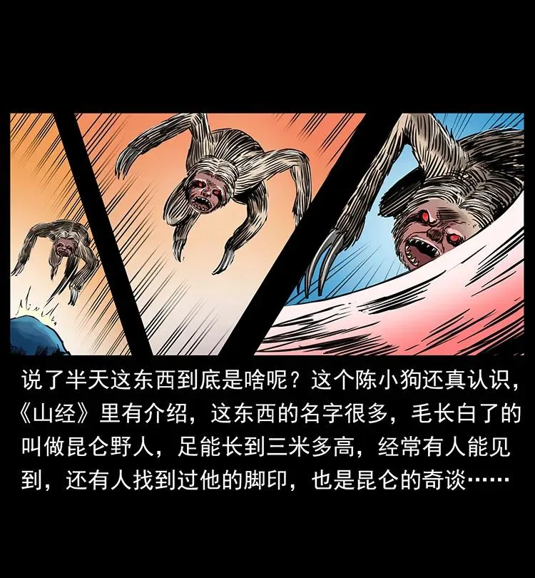 267 万山之祖——昆仑！ 第43页