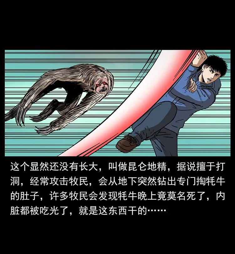 267 万山之祖——昆仑！ 第44页