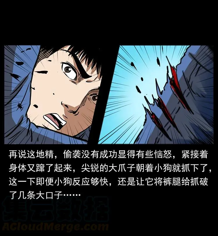 267 万山之祖——昆仑！ 第45页