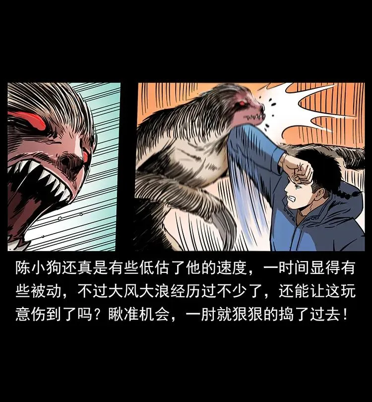 267 万山之祖——昆仑！ 第47页
