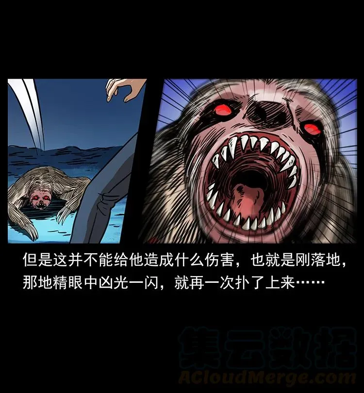 267 万山之祖——昆仑！ 第49页