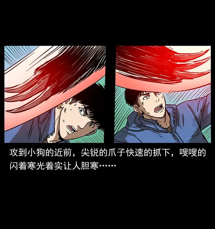 267 万山之祖——昆仑！ 第51页