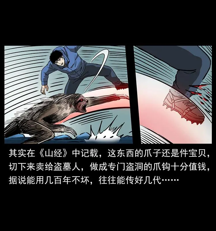 267 万山之祖——昆仑！ 第52页