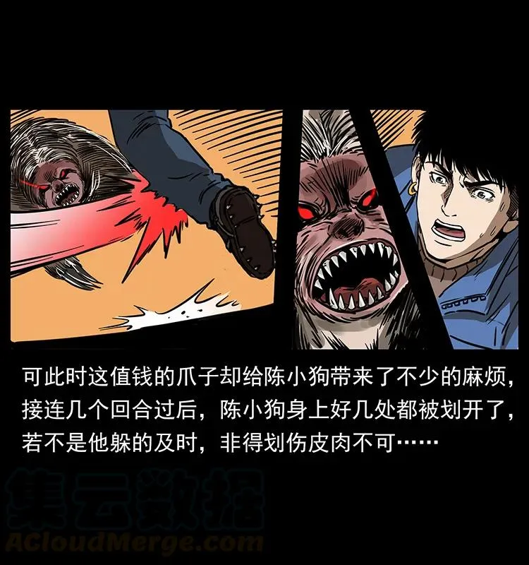 267 万山之祖——昆仑！ 第53页