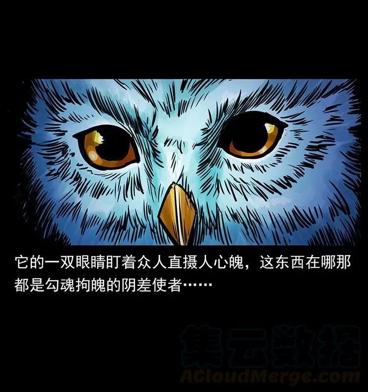 267 万山之祖——昆仑！ 第81页