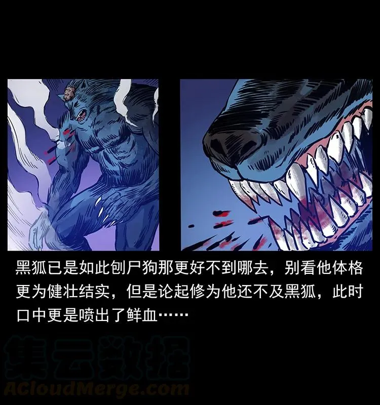 267 万山之祖——昆仑！ 第89页
