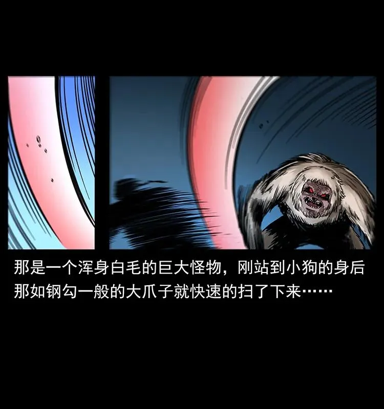 268 昆仑精灵 第15页