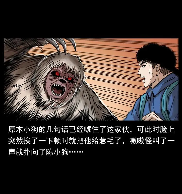 268 昆仑精灵 第22页