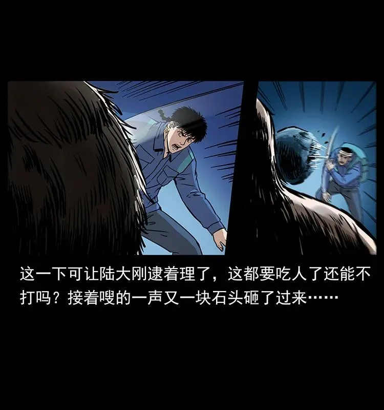 268 昆仑精灵 第23页