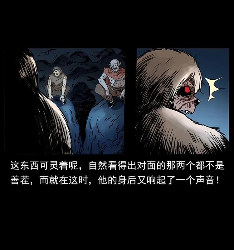 268 昆仑精灵 第46页