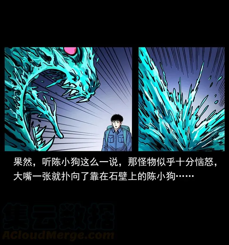 268 昆仑精灵 第81页
