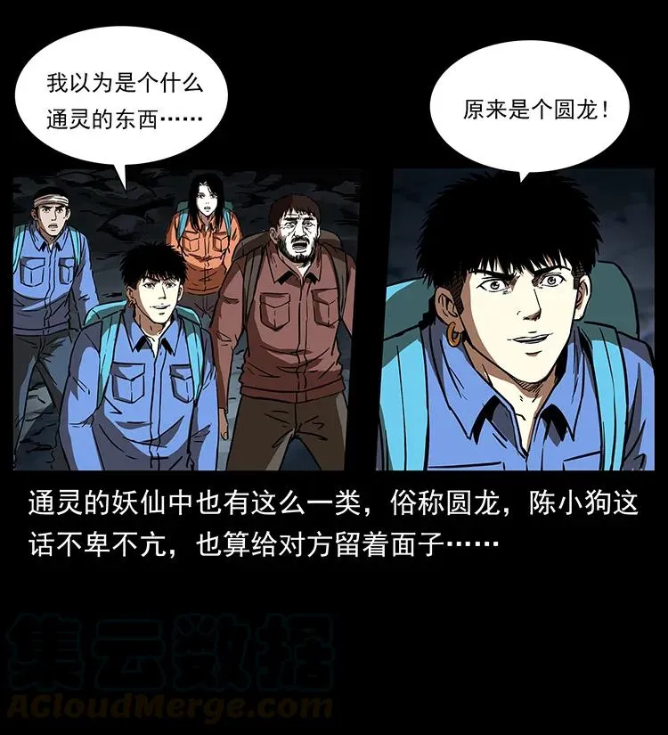 269 昆仑守卫 第29页