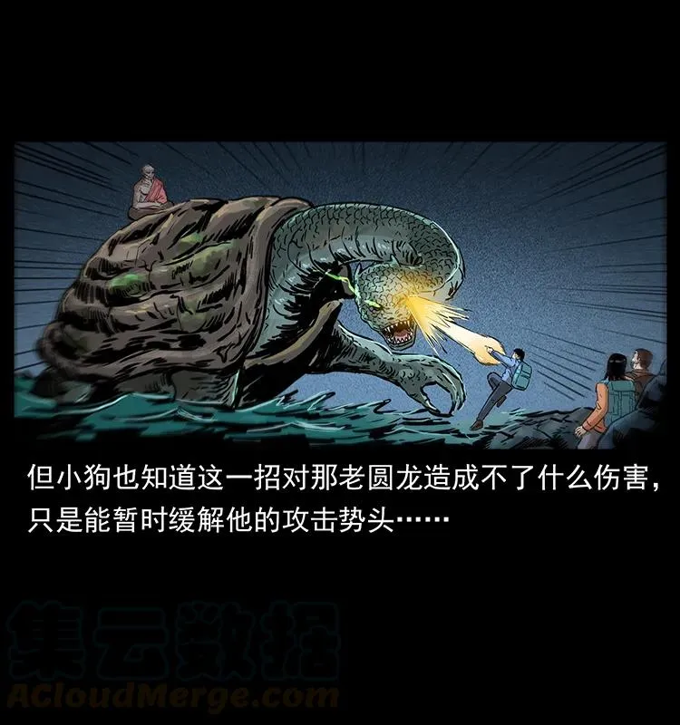 269 昆仑守卫 第41页