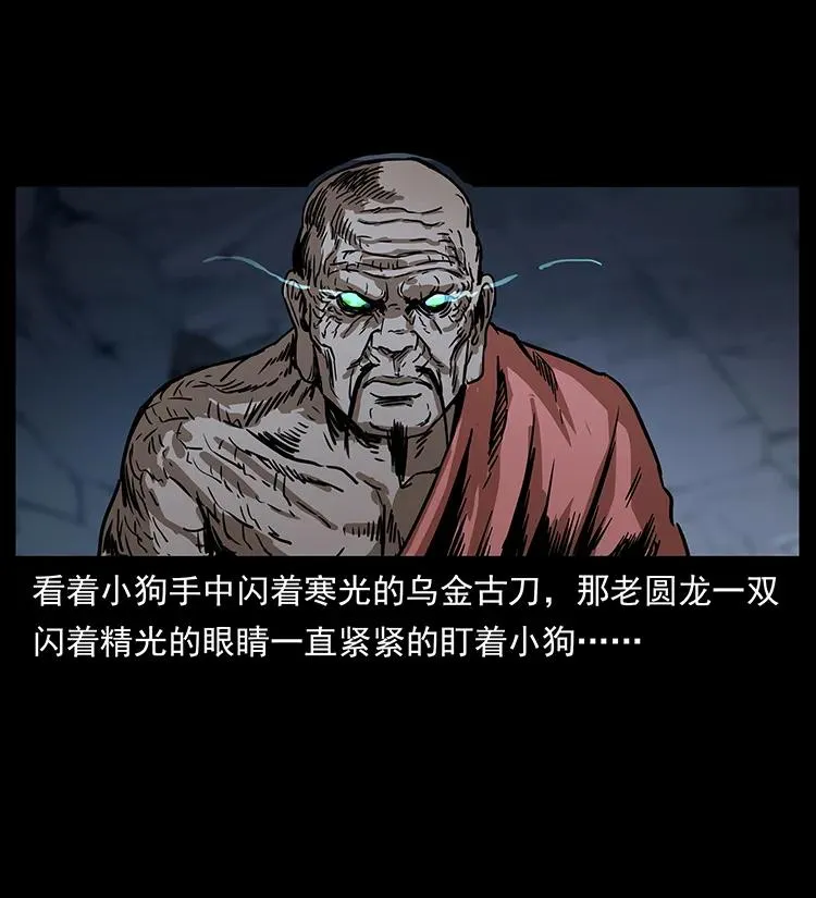 269 昆仑守卫 第46页