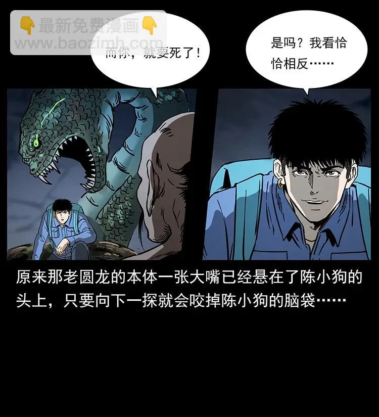 269 昆仑守卫 第48页