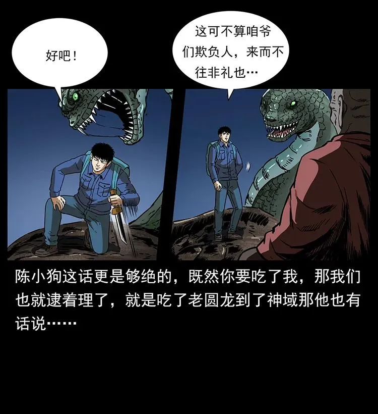 269 昆仑守卫 第52页