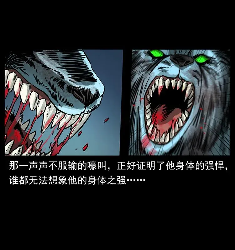 269 昆仑守卫 第76页