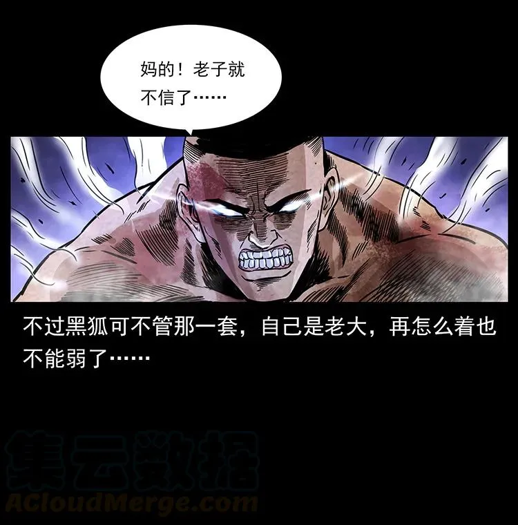 269 昆仑守卫 第81页