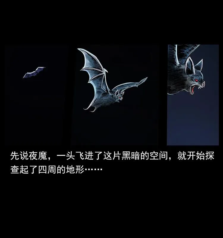 270 黑暗循环 第80页
