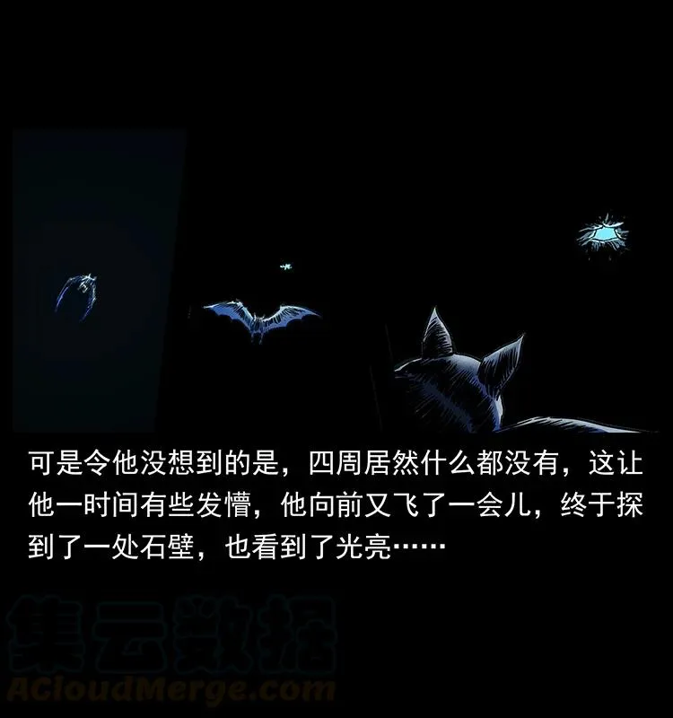 270 黑暗循环 第81页