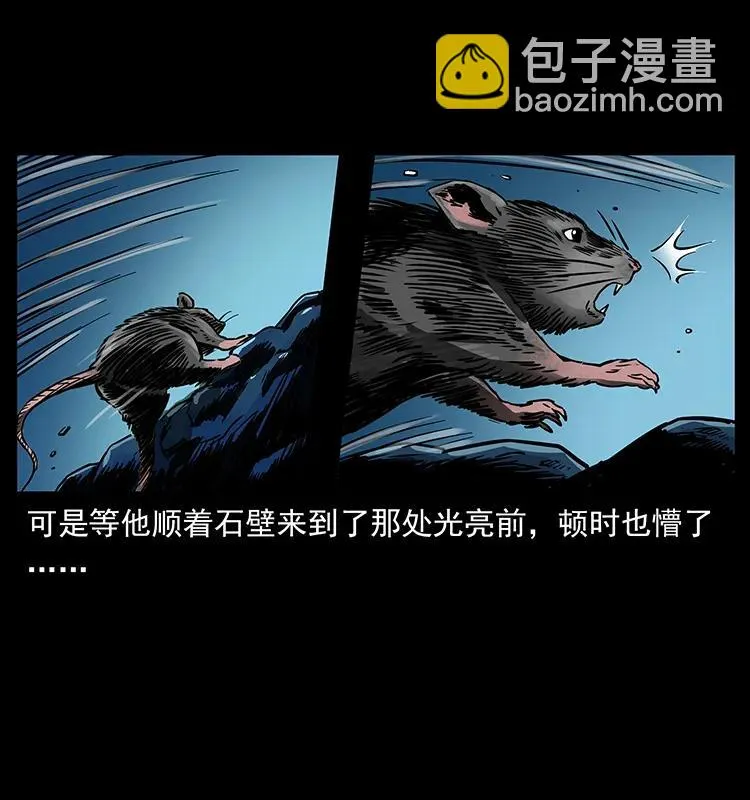270 黑暗循环 第86页