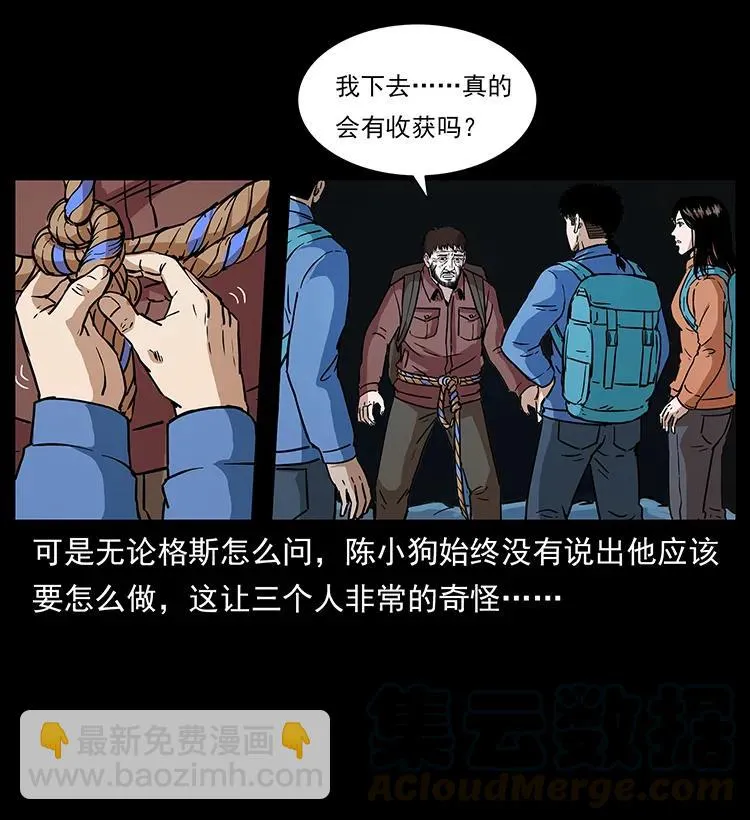 271 神域边界 第41页