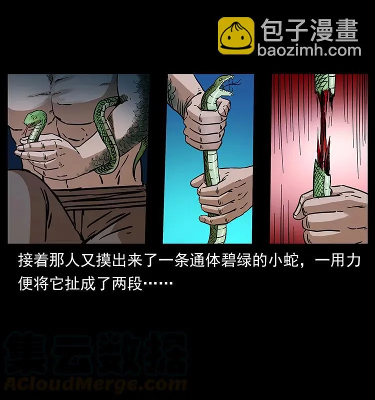 271 神域边界 第81页
