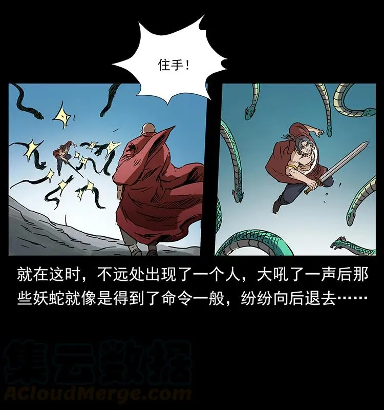 272 敌！友！你决定！ 第65页