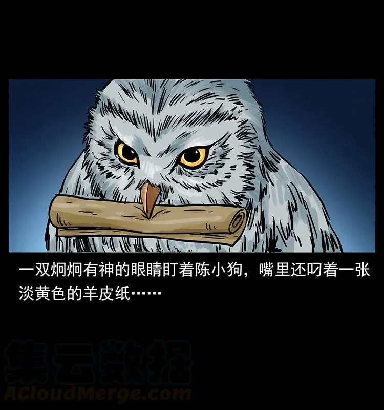 273 圈套 第17页