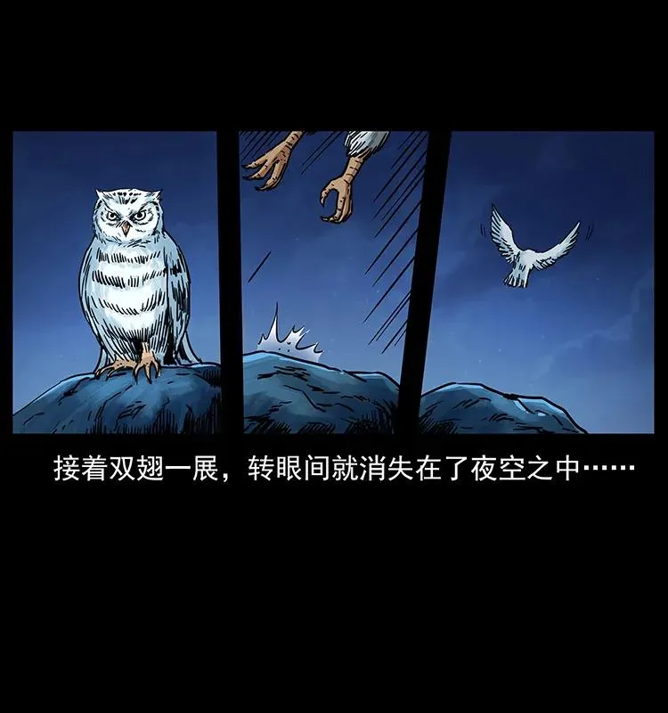 273 圈套 第19页