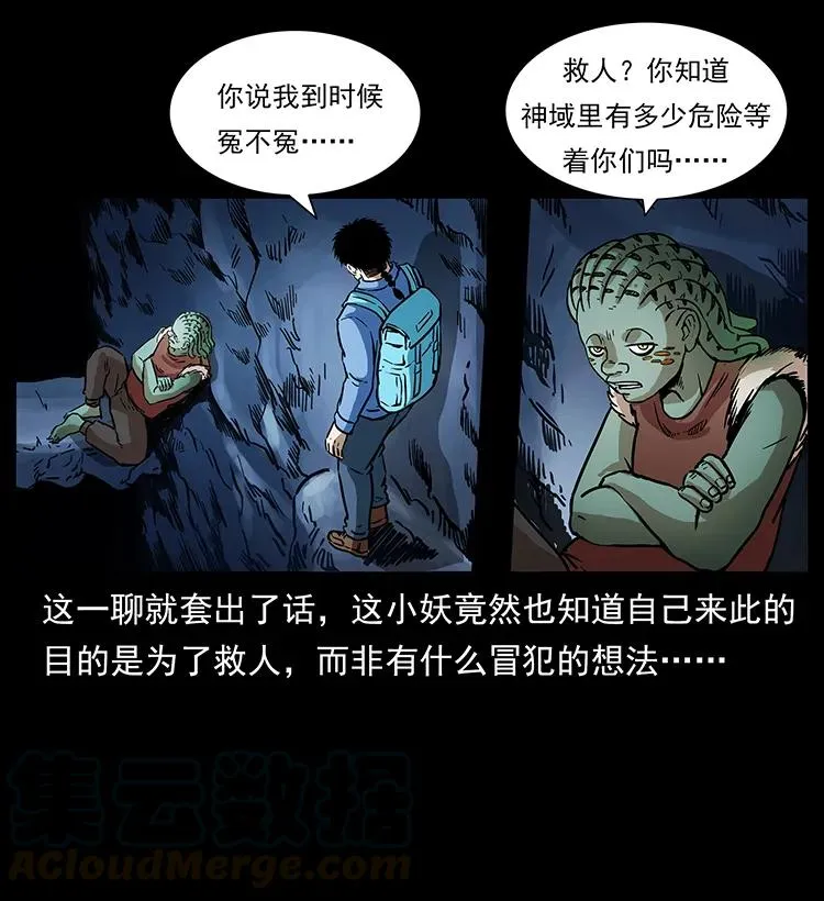 274 神族的计划 第5页