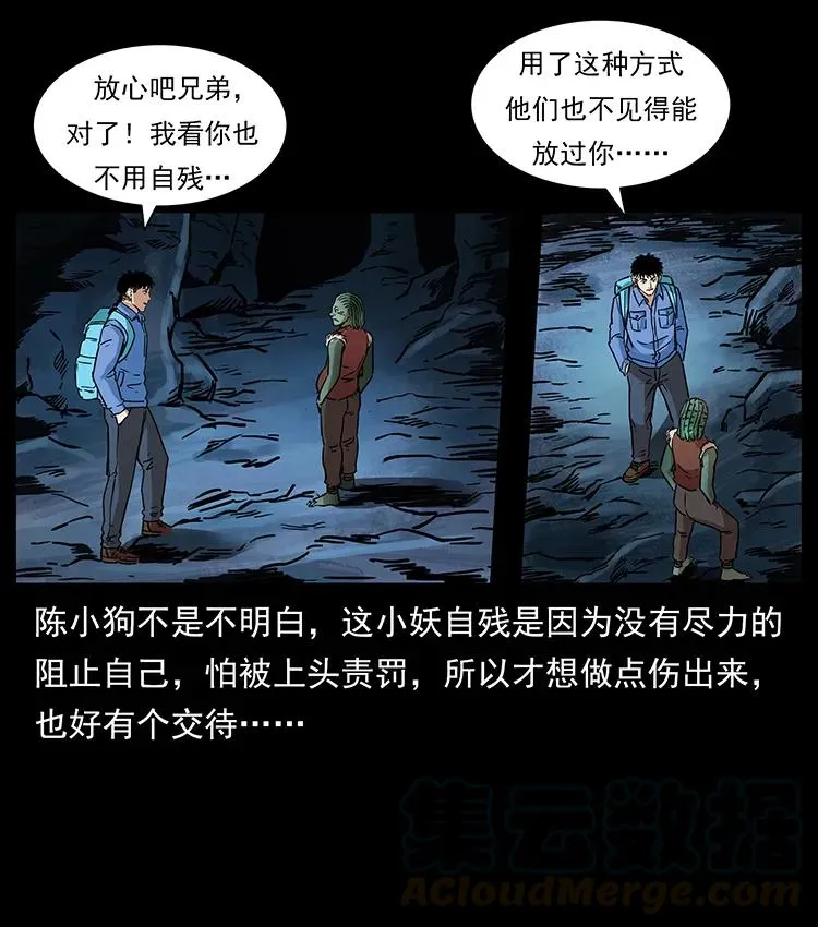 274 神族的计划 第21页