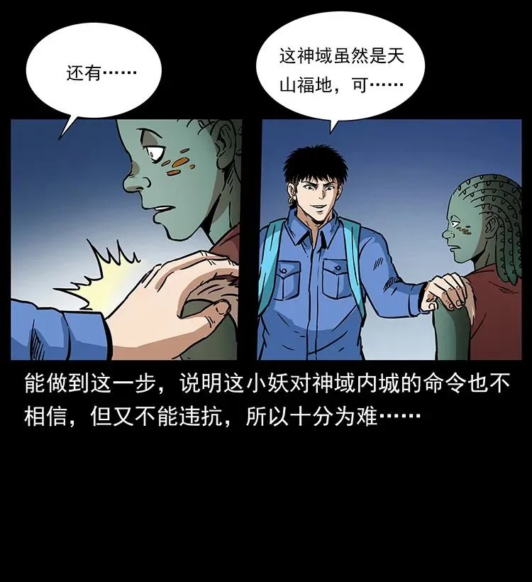 274 神族的计划 第22页