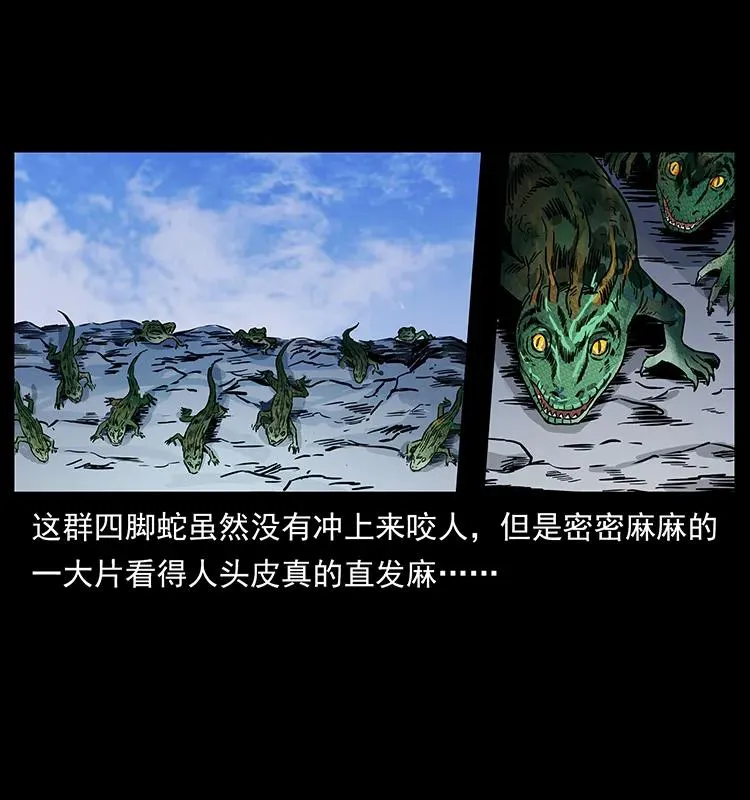 274 神族的计划 第32页