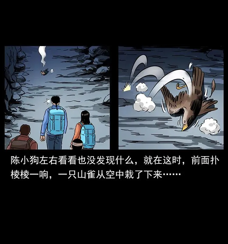 274 神族的计划 第43页