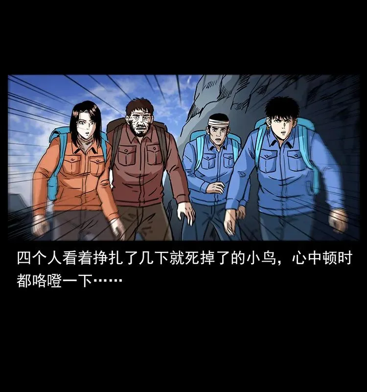 274 神族的计划 第44页