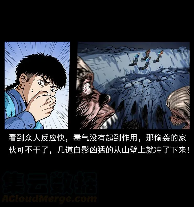 274 神族的计划 第49页