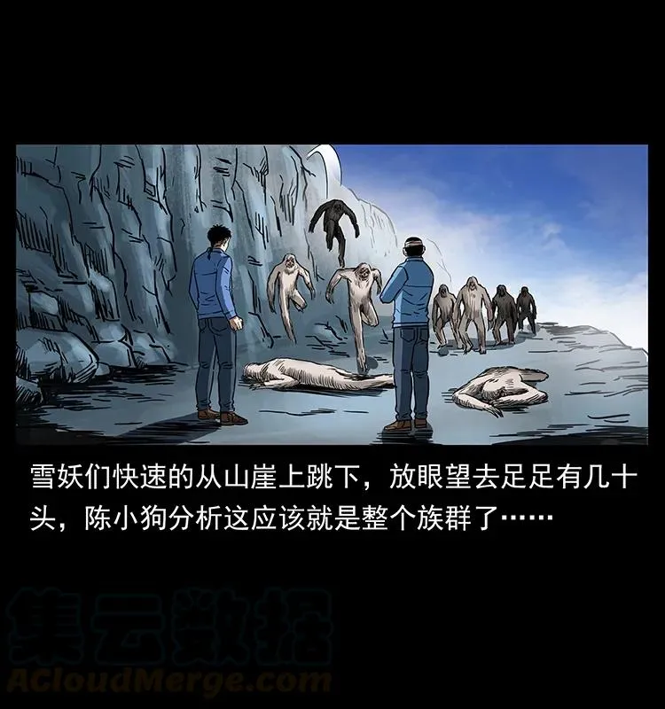 275 杀一儆百 第41页