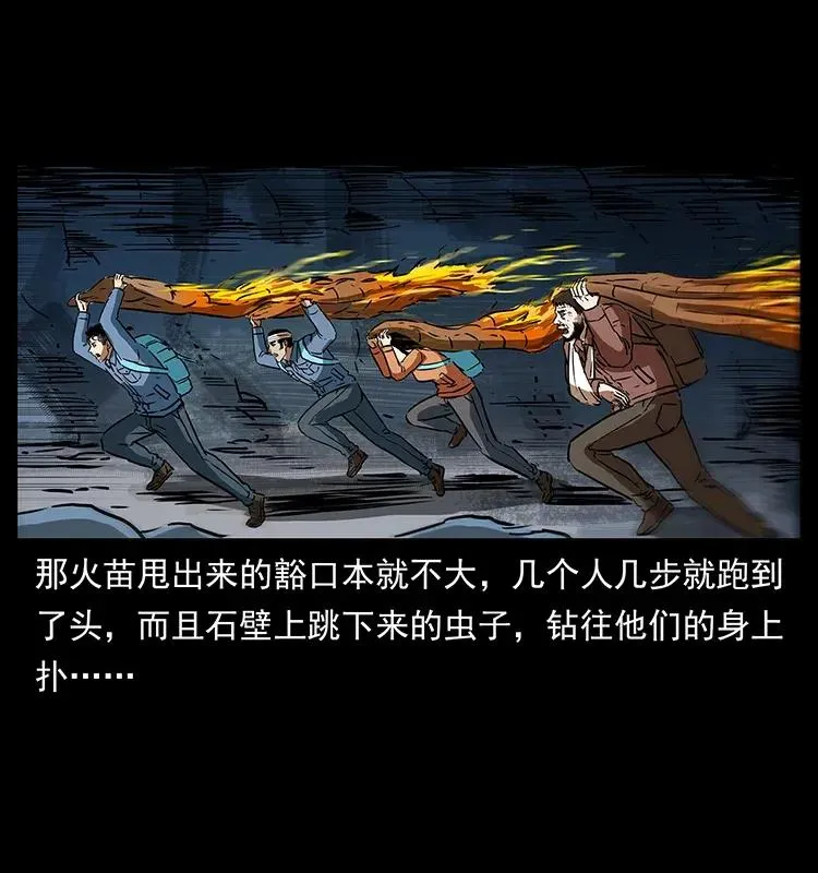 278 黑狐的危机！ 第28页