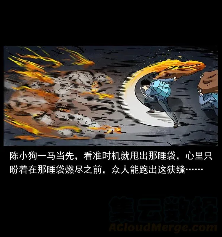 278 黑狐的危机！ 第29页