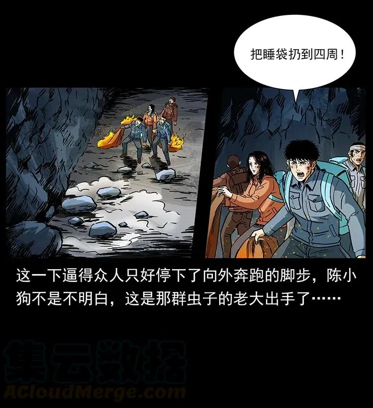 278 黑狐的危机！ 第33页