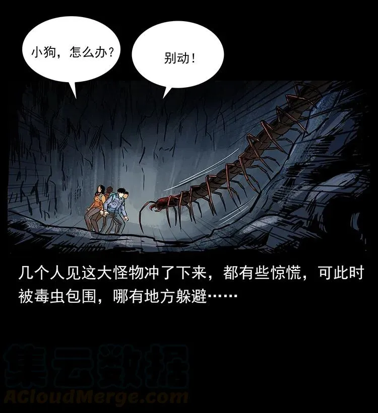 278 黑狐的危机！ 第41页