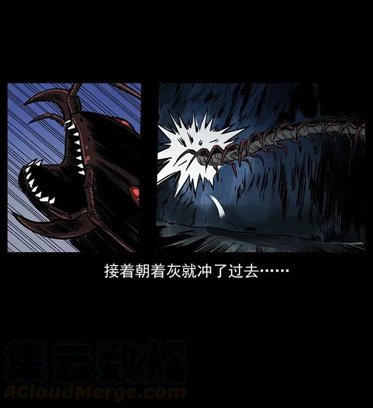 278 黑狐的危机！ 第45页