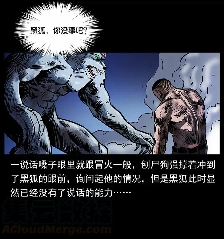278 黑狐的危机！ 第81页