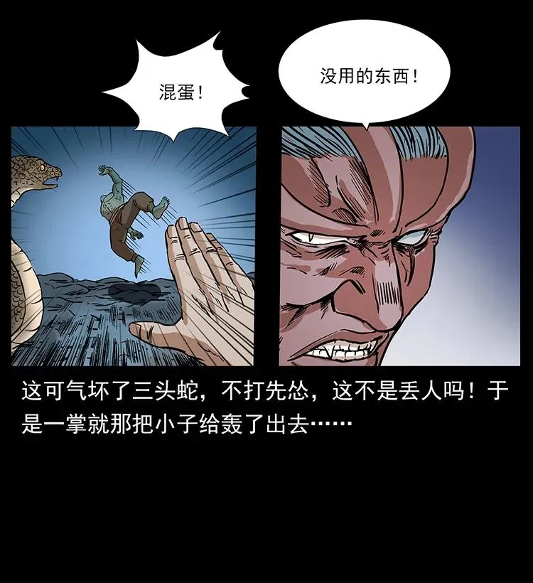 277 三头蛇 第82页