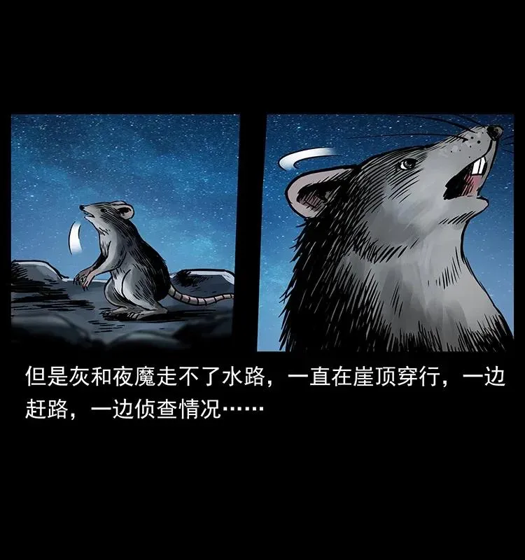 280 西域食尸鬼 第3页