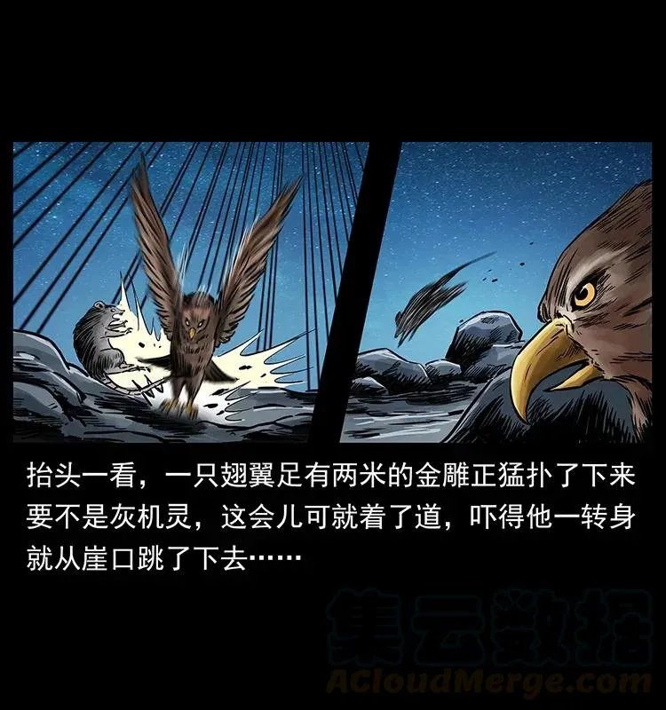 280 西域食尸鬼 第5页